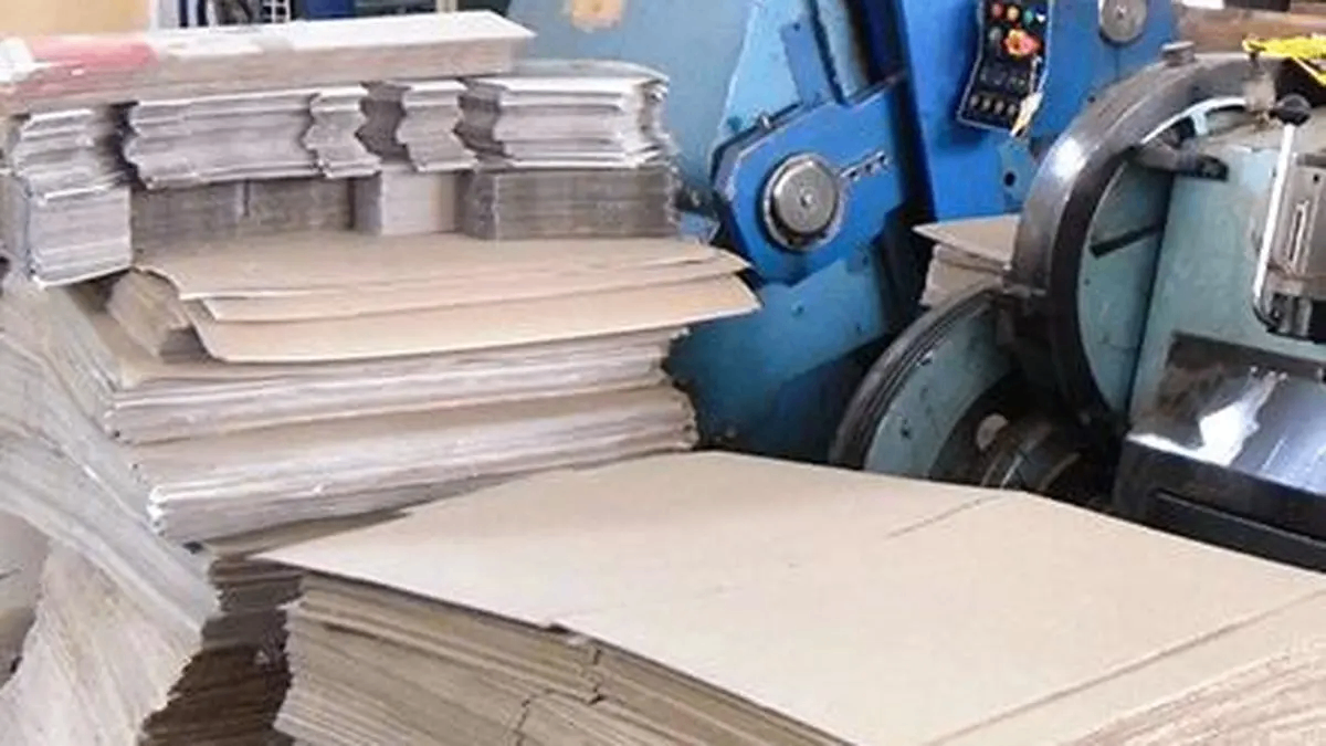 Higher GST for kraft paper irks corrugated box manufacturers