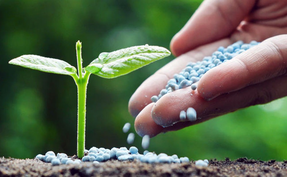 Fertiliser industry pitches for subsidy reforms, GST relief as cost pressures mount