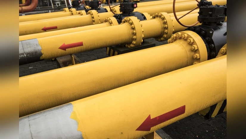 Restore APM allocation for CNG sector, include gas under GST regime: Panel