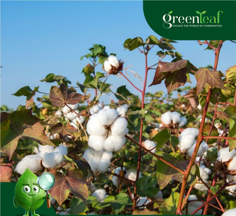 Cotton industry knocks at North Block for GST clarity on raw material purchases