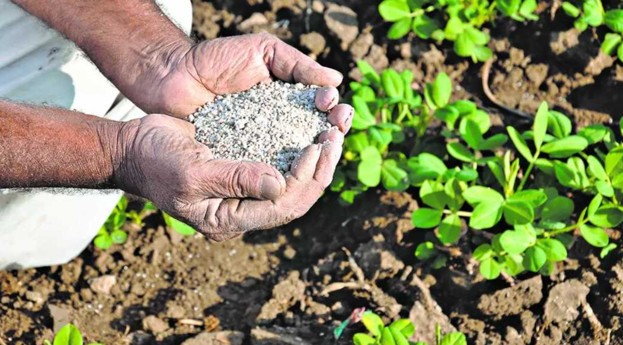 Relief for fertilizer companies as GST Council may clear refunds