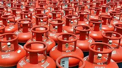 Hoteliers Seek Reduction in GST; Subsidy on LPG Cylinders