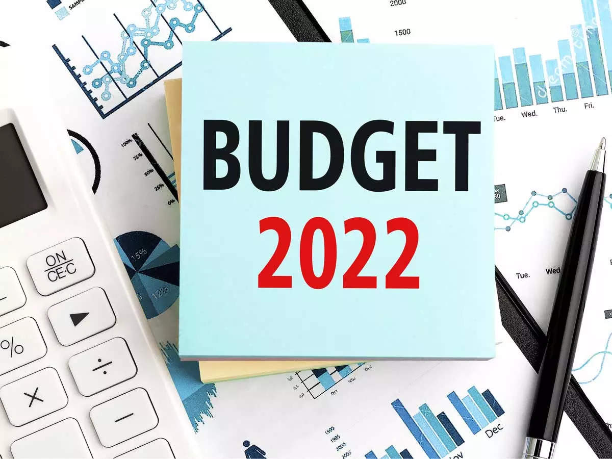 India Budget 2022: Economists prescribe tax relief, higher capex