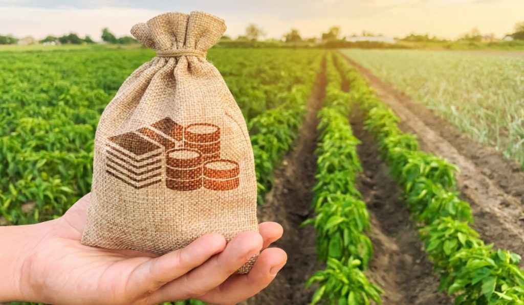 Tax on Agriculture: GST applicable on seeds used in agriculture say two tax rulings