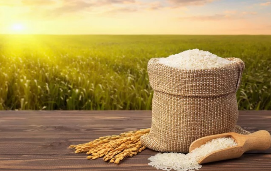 Rice sold in bags above 25 kg may attract GST, retail prices likely to be affected