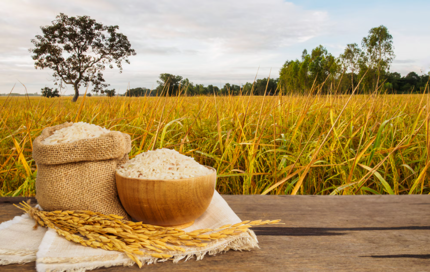 FCI allows millers to deliver custom-milled rice, but GST, godown issues remain