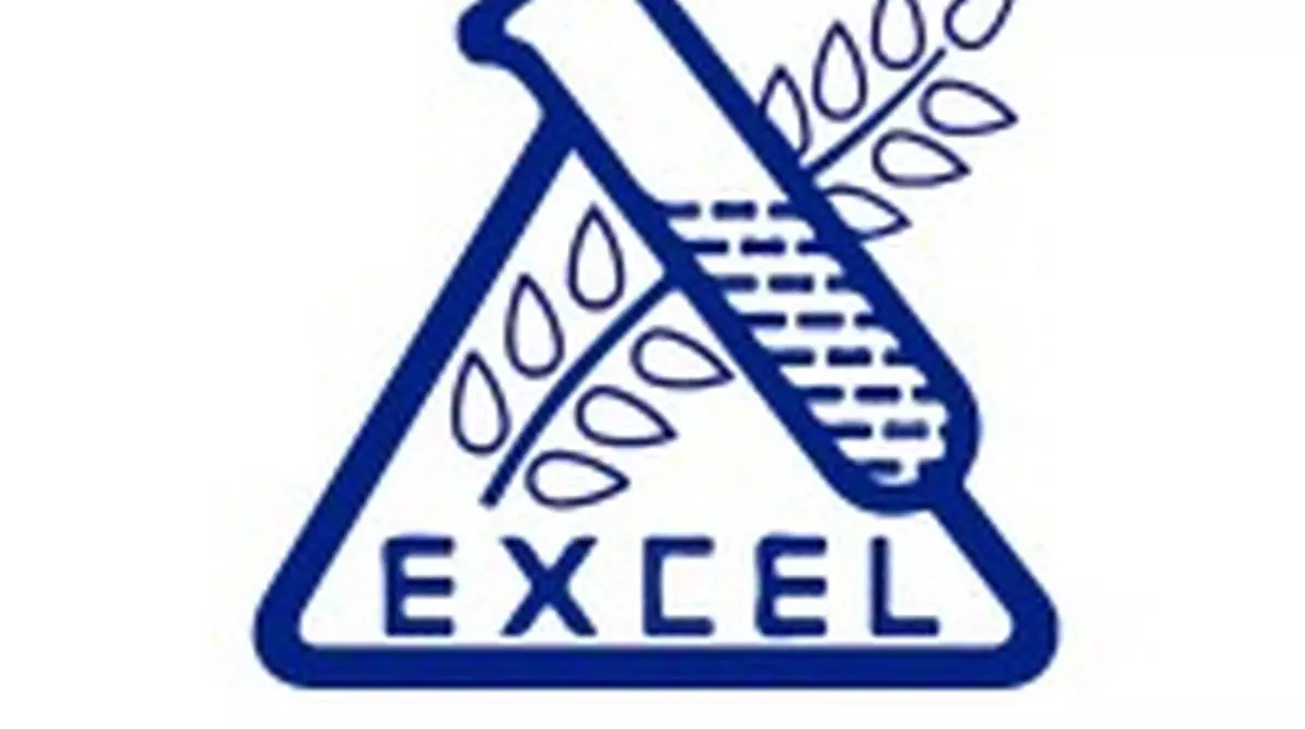 GST officials search Excel Industries’ Mumbai office