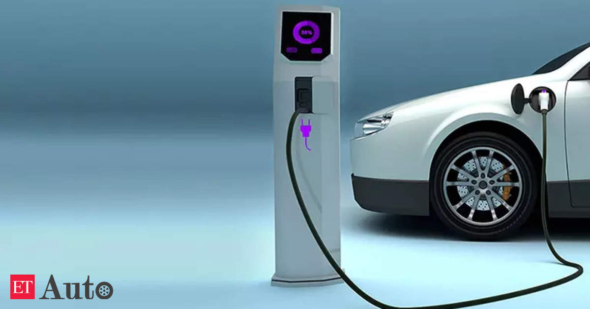 Parliamentary panel for more subsidy, GST cut to up EV adoption