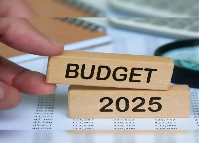 Budget 2025: Plastics manufacturers' body seeks PLI scheme to help scale up global presence