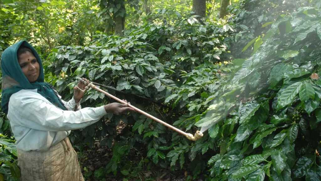 Campco asks Govt to reduce GST on copper sulphate used in agriculture