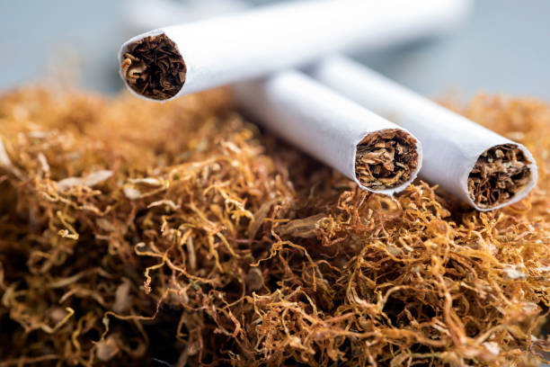 Valuation of tobacco and tobacco products for the purposes of payment of Basic Excise Duty and NCCD