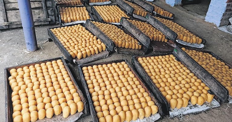 Activists TN's Thoothukudi renew call for crackdown on fake palm jaggery products