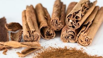 CBIC instruction w.r.t. testing of coumarin in imported Cinnamon