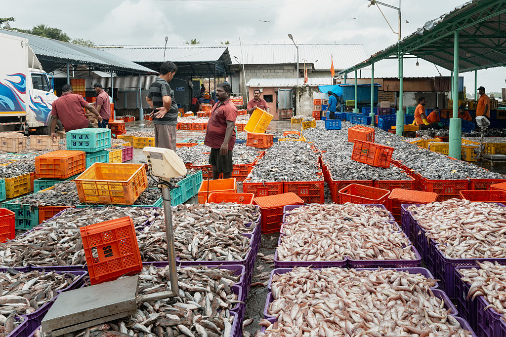 Fishing Nets, Seafood Products and Aquaculture Inputs All at 5%