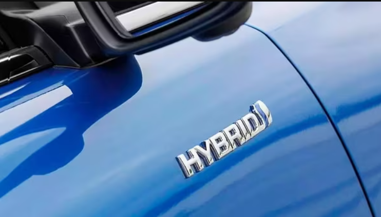 EV sales could see slowdown if taxes on hybrids reduced: Report