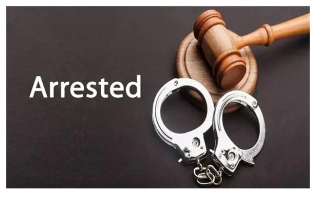 CA and advocate arrested for tax evasion and forgery cases