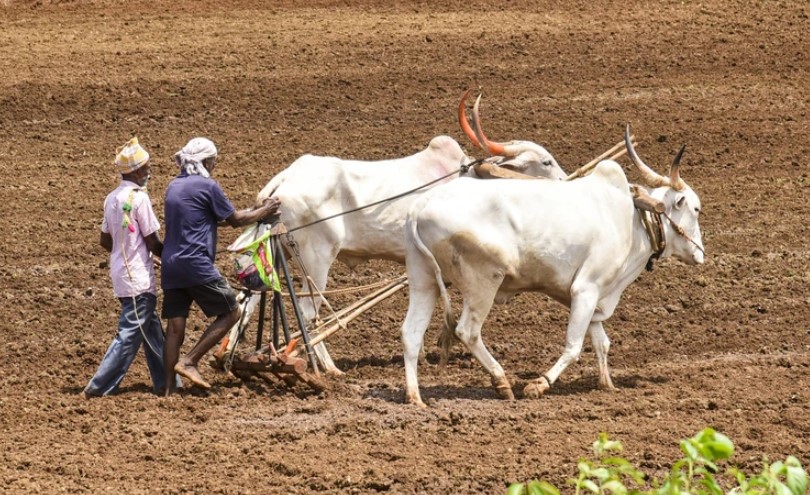 GST rate cut for dairy, agricultural inputs to benefit 10 crore farmers