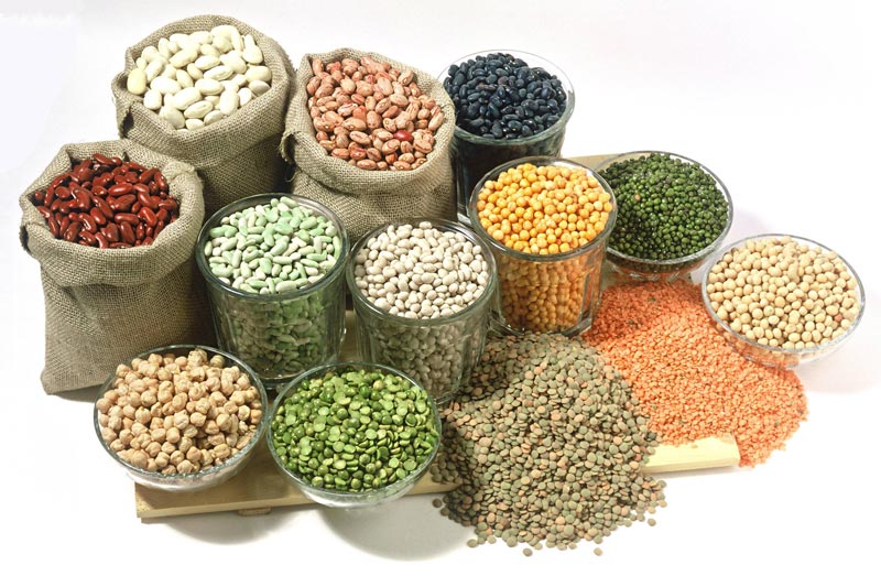 Notified the changes in GST rates on husk of pulses as recommended by the GST Council