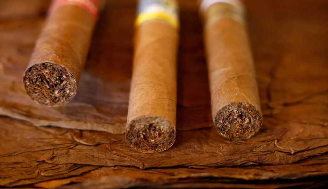 GSTN rolls out form for tobacco manufacturers to report inputs, outputs to tax authorities