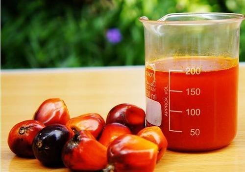 Center reduces duty on Crude Palm Oil (CPO) by 5%